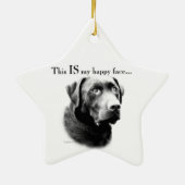 Lab Happy Face Keramisch Ornament (Achterkant)