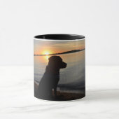 Lab in Sunset Mok (Midden)