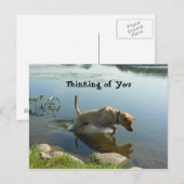 Lab Leaps Thinking of You Briefkaart (Voorkant / Achterkant)