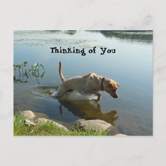 Lab Leaps Thinking of You Briefkaart (Voorkant)