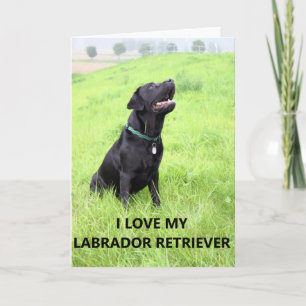 lab - liefde kaart