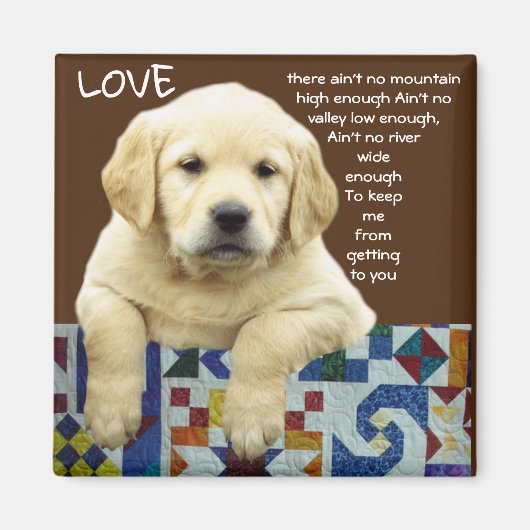 "LAB LOVE" MAGNEET (Voorkant)
