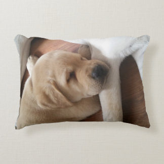 Lab Love Pillow Decoratief Kussen