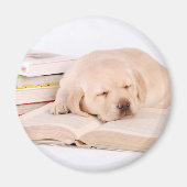 Lab Magneet (Voorkant)