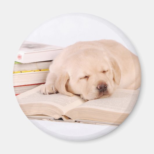 Lab Magneet (Voorkant)