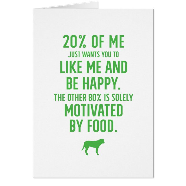 Lab Motives (Voorkant)