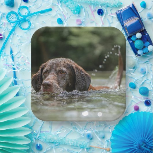 Lab Papieren Bordje (Feest)