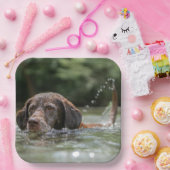 Lab Papieren Bordje (Feest)