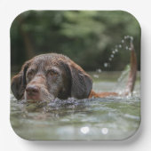 Lab Papieren Bordje (Voorkant)