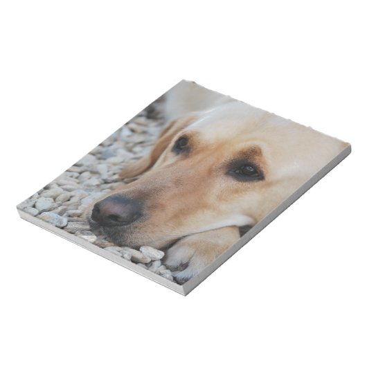 Lab-portret Notitieblok (Linkerzijde)