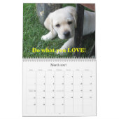 Lab Puppies! Kalender (Mar 2027)