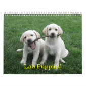 Lab Puppies! Kalender (Hoes)