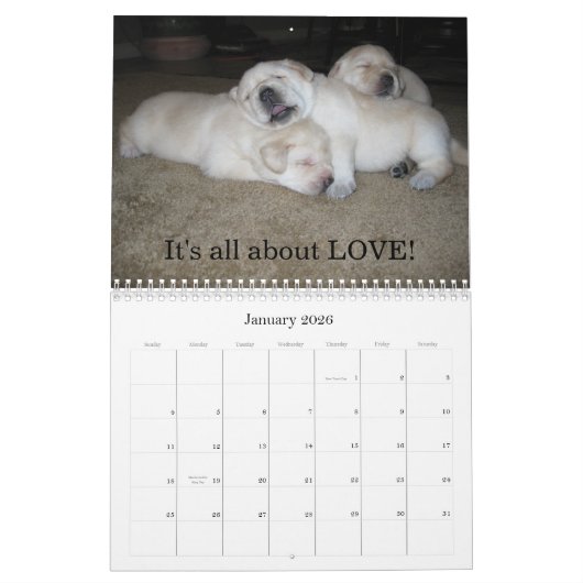 Lab Puppies! Kalender (Jan 2026)