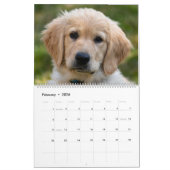 Lab Puppies Labrador Retriever Wall 2025 Calendar Kalender (Feb 2026)