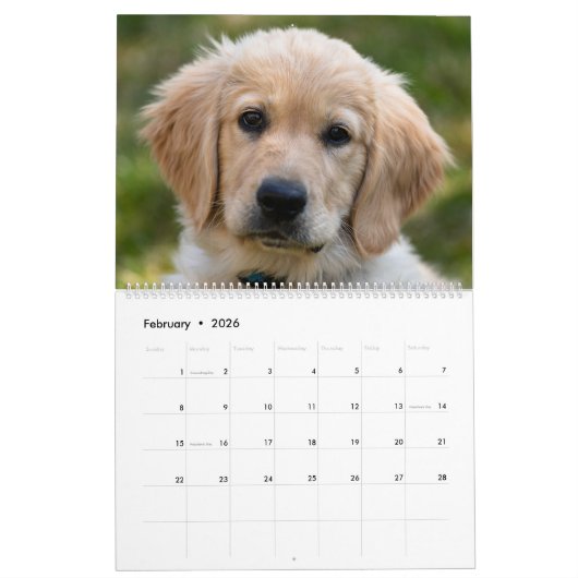 Lab Puppies Labrador Retriever Wall 2025 Calendar Kalender (Feb 2026)