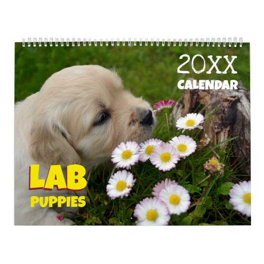 Lab Puppies Labrador Retriever Wall 2025 Calendar Kalender (Hoes)
