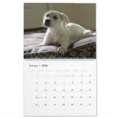 Lab Puppies Labrador Retriever Wall 2025 Calendar Kalender (Jan 2026)