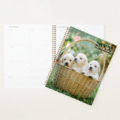 Lab Puppies Ongedateerd Maand Plannerboek Planner (Display)