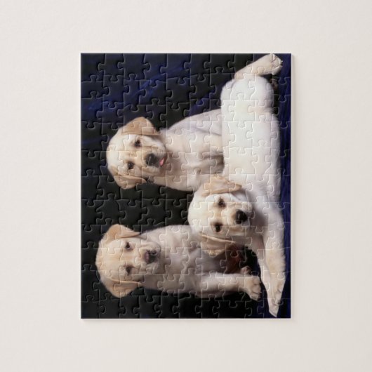 Lab Puppies Puzzle Legpuzzel (Verticaal)