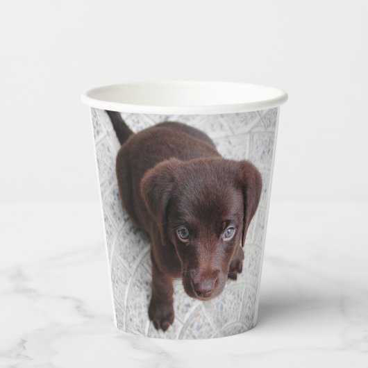 Lab Puppy Papieren Bekers (Achterkant)