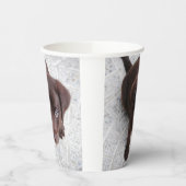 Lab Puppy Papieren Bekers (Links)