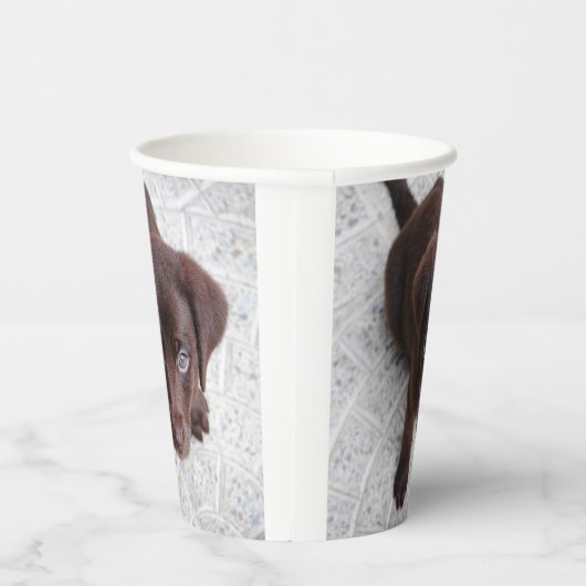 Lab Puppy Papieren Bekers (Rechts)