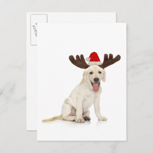 Lab Puppy Wearing Antlers Briefkaart (Voorkant / Achterkant)