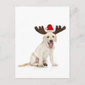 Lab Puppy Wearing Antlers Briefkaart (Voorkant)