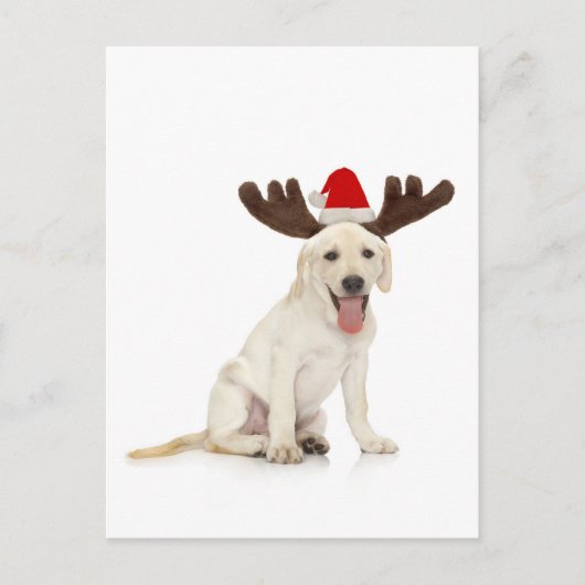 Lab Puppy Wearing Antlers Briefkaart (Voorkant)