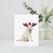 Lab Puppy Wearing Antlers Briefkaart (Staand voorkant)
