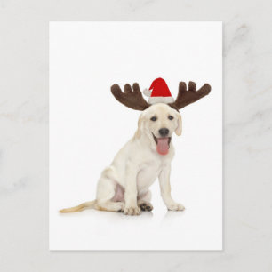 Lab Puppy Wearing Antlers Briefkaart