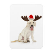 Lab Puppy Wearing Antlers Magneet (Verticaal)