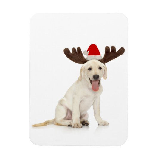 Lab Puppy Wearing Antlers Magneet (Verticaal)