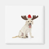 Lab Puppy Wearing Antlers Magneet (Voorkant)