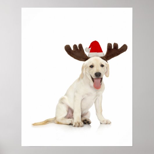 Lab Puppy Wearing Antlers Poster (Voorkant)