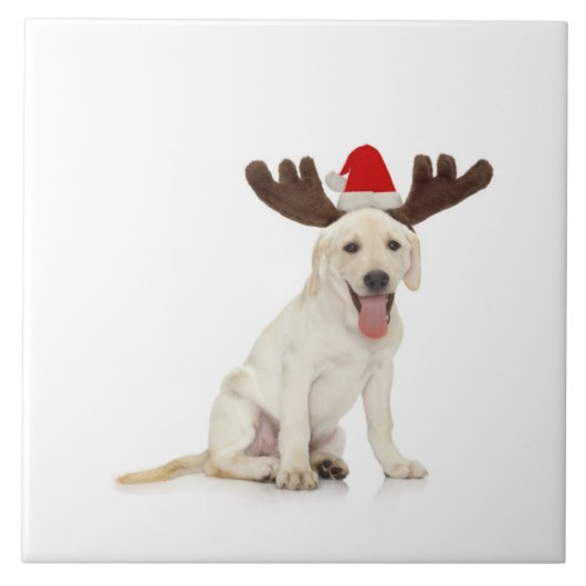 Lab Puppy Wearing Antlers Tegeltje (Voorkant)