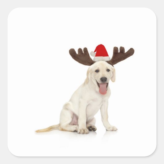 Lab Puppy Wearing Antlers Vierkante Sticker (Voorkant)