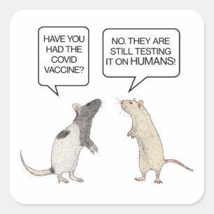 Lab Rat Covid Vaccine Funny Button Vierkante Sticker