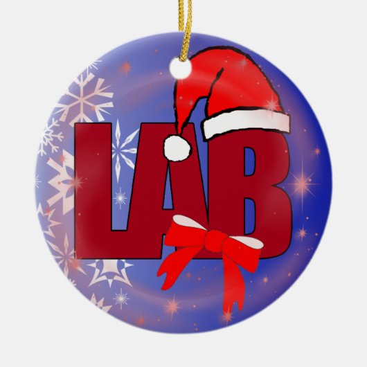 LAB SANTA CHRISTMAS ORNAMENT (Voorkant)