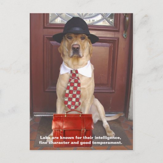 Lab Traits - Fine Character Briefkaart (Voorkant)