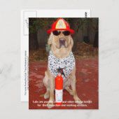 Lab Traits - Gebruik door politie en Vuurmannen Briefkaart (Voorkant / Achterkant)