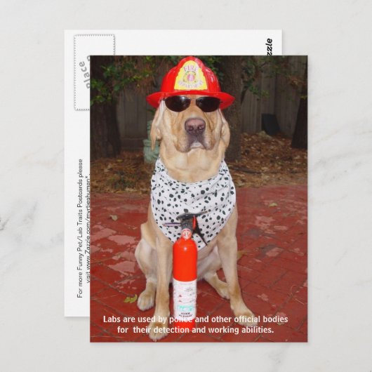 Lab Traits - Gebruik door politie en Vuurmannen Briefkaart (Voorkant / Achterkant)