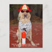 Lab Traits - Gebruik door politie en Vuurmannen Briefkaart (Voorkant)