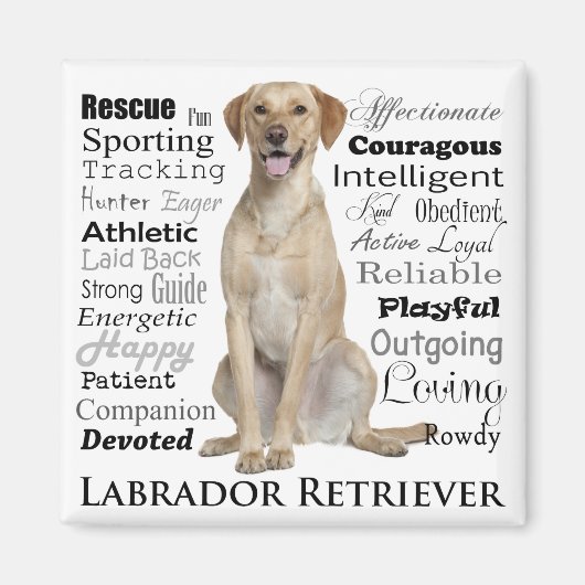 Lab Traits Magnet (Voorkant)