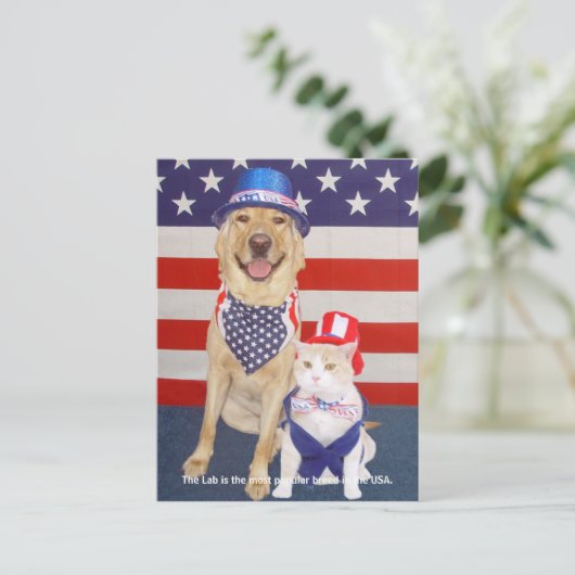 Lab Traits - Populair Briefkaart (Staand voorkant)