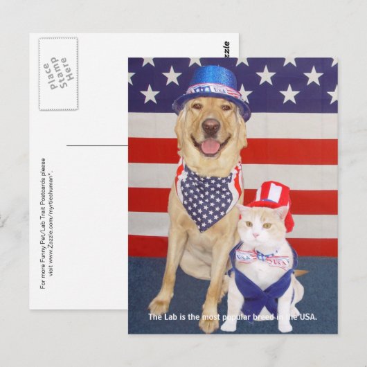 Lab Traits - Populair Briefkaart (Voorkant / Achterkant)