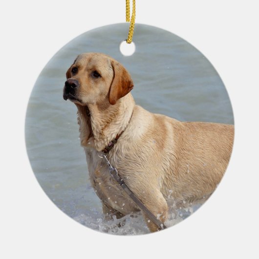Lab Yellow Dog Water Foto Keramisch Ornament (Voorkant)
