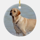 Lab Yellow Dog Water Foto Keramisch Ornament (Achterkant)