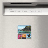 Labadee, Haïti Magneet (Insitu (Vaatwasser))