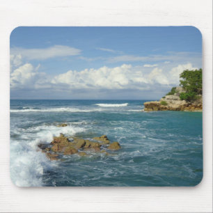 Labadie Seascape Muismat